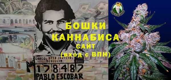 крисы Нея