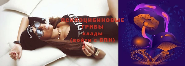 бошки Нефтегорск