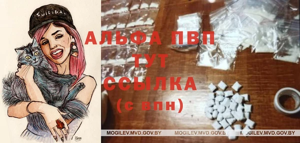 крисы Нея