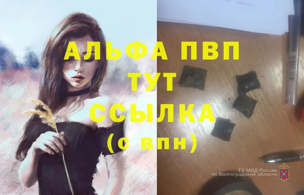 крисы Нея