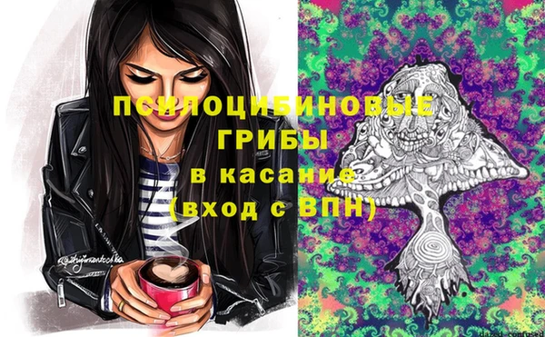 крисы Нея
