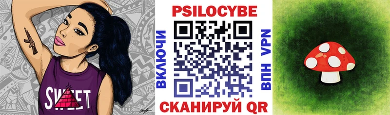 Купить где  Шуя  Псилоцибиновые грибы прущие грибы 
